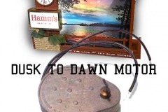 1_dusk-to-dawn-motor